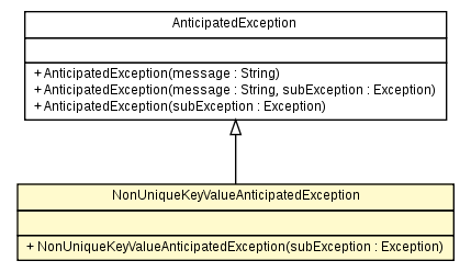 Package class diagram package NonUniqueKeyValueAnticipatedException