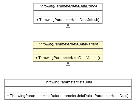 Package class diagram package ThrowingParameterMetaDataVariant